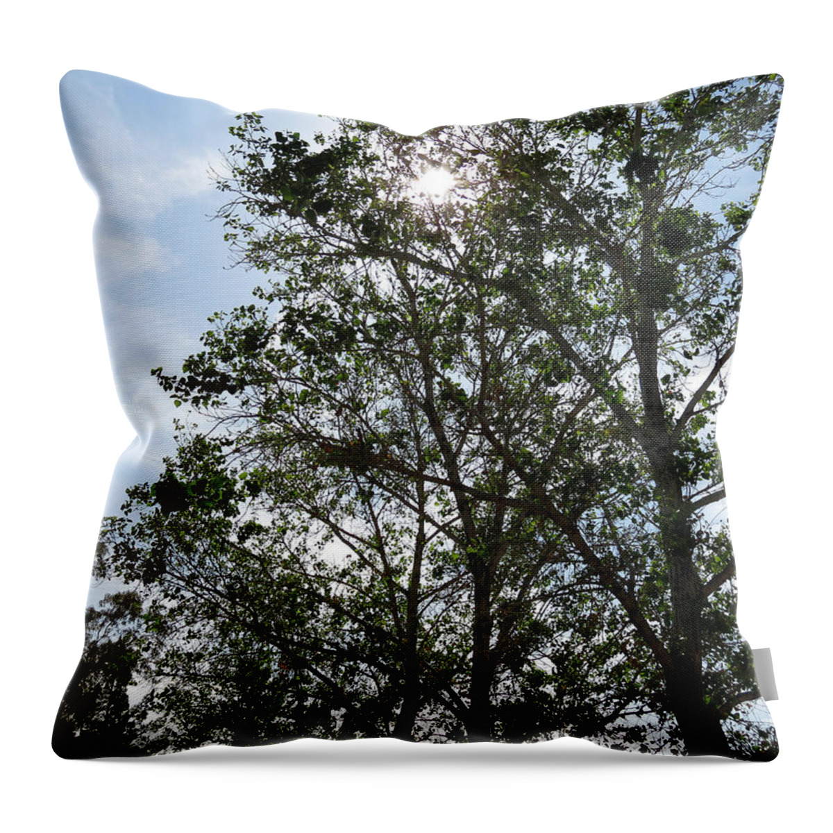 Nature Throw Pillow featuring the photograph Trees at the Park #1 by Laurel Powell
