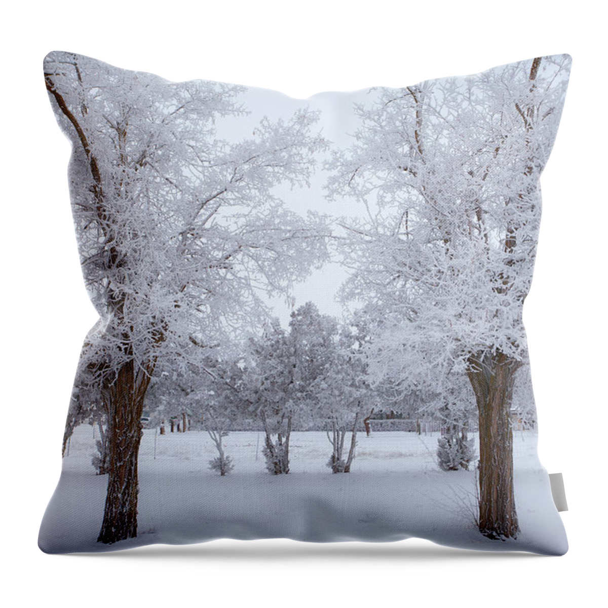  River Throw Pillow featuring the photograph Trees of Winter by Darren White