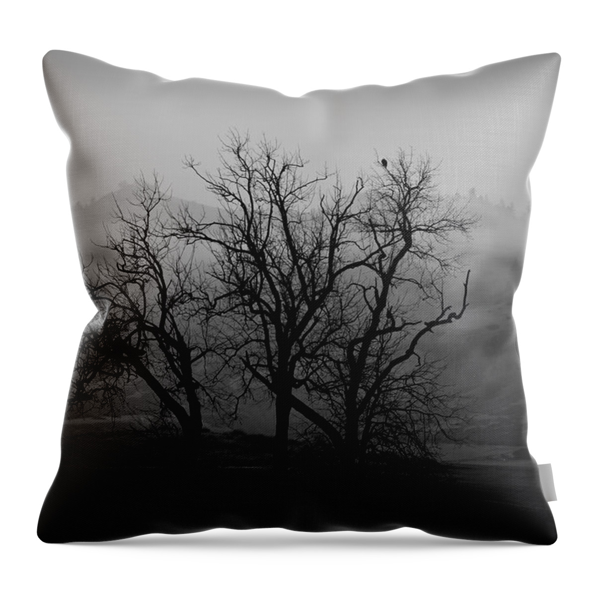 Black And White Throw Pillow featuring the photograph Trees on a Foggy Morning by Bonnie Bruno