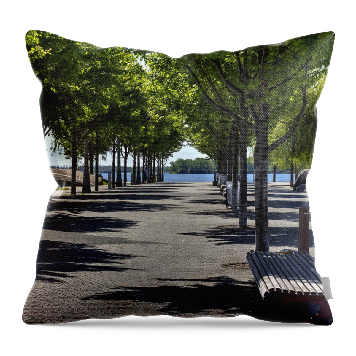 Trees Throw Pillow featuring the photograph Trees on the Lake by Nicky Jameson