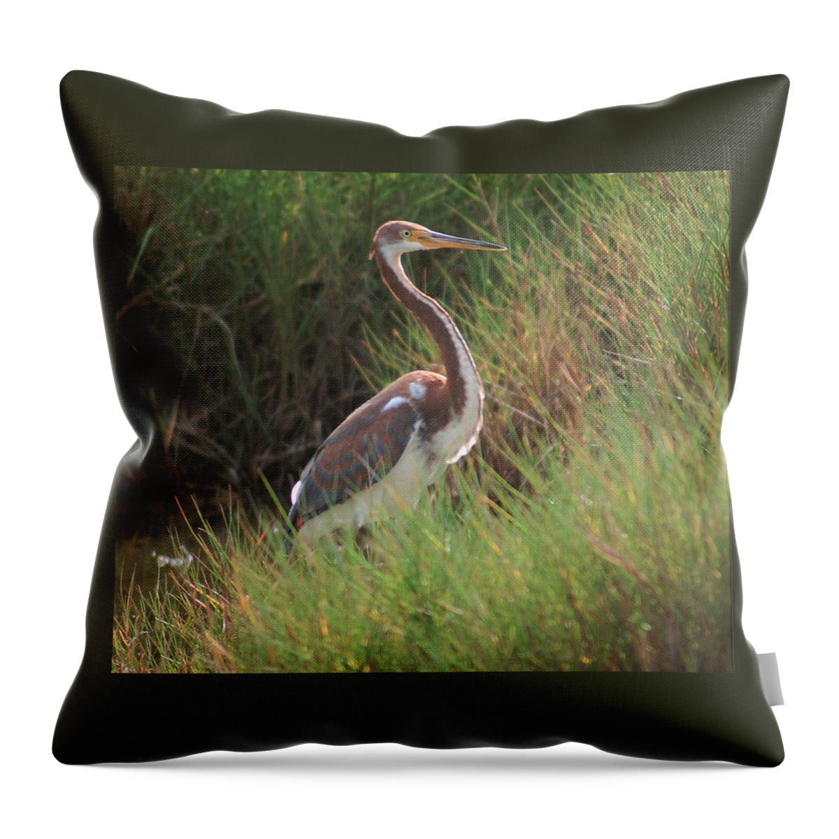 Tri-color Heron Throw Pillow featuring the photograph Tri-Color Heron by Leticia Latocki