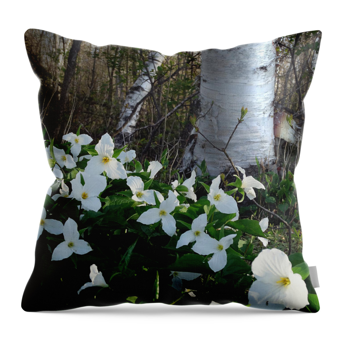 Trillium Throw Pillow featuring the photograph Trillium and Birch by David T Wilkinson
