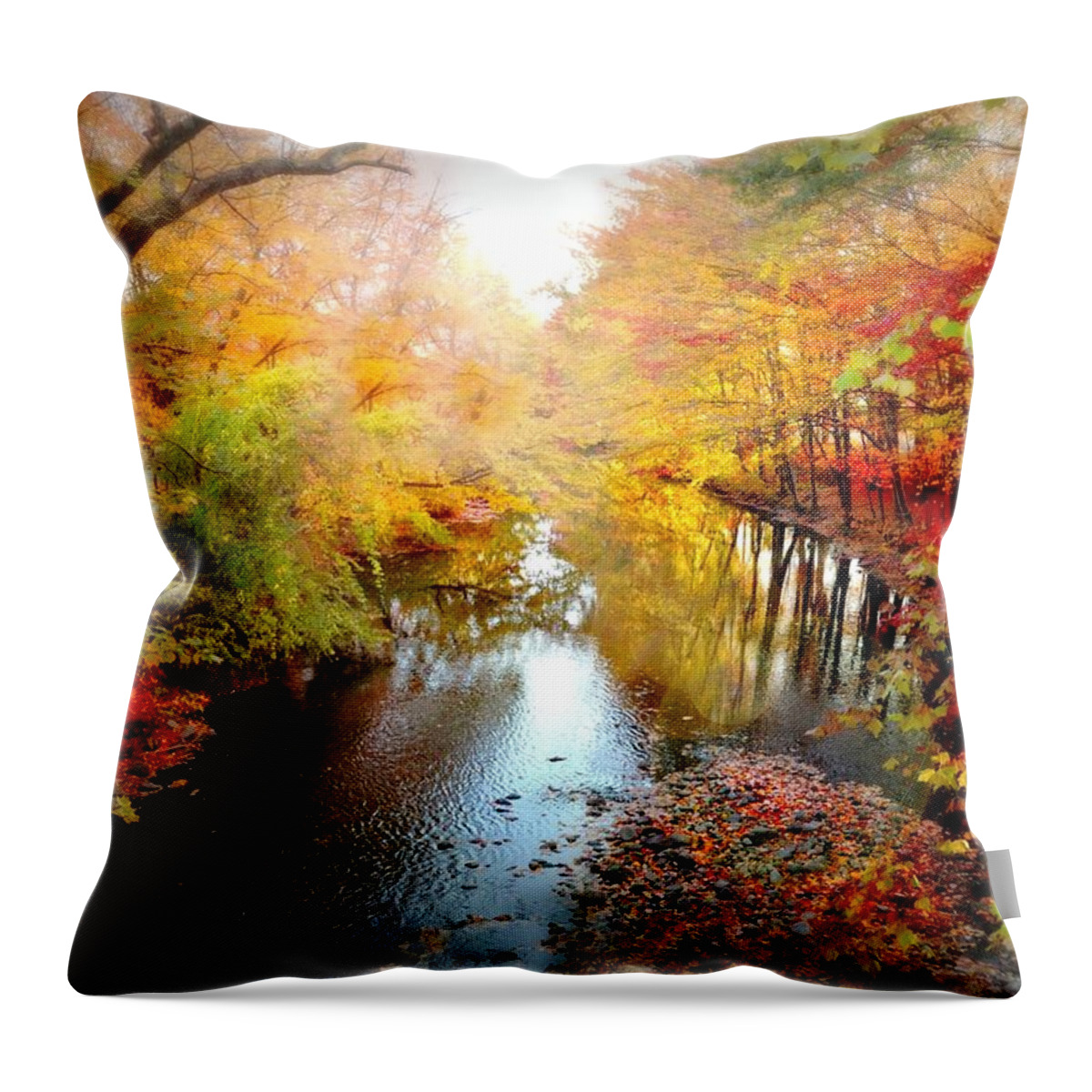 Landscape Throw Pillow featuring the photograph Trip Through My Mind by Diana Angstadt