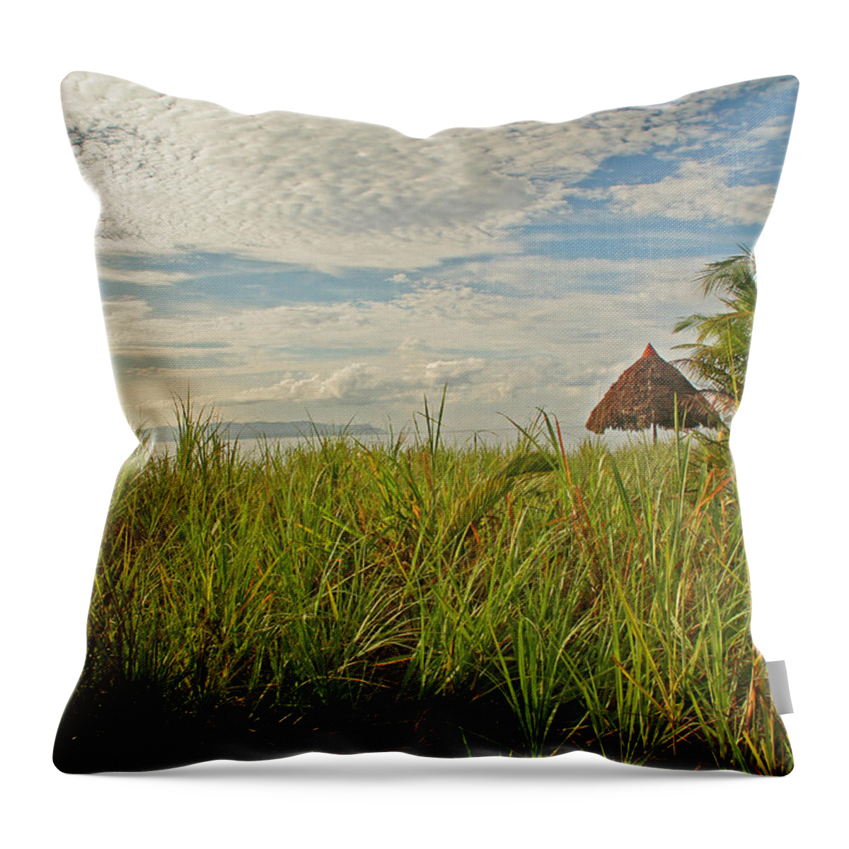 Costa Rica Throw Pillow featuring the photograph Tropical Beach Landscape by Peggy Collins