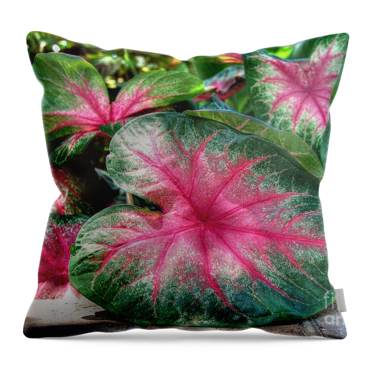 Flowers Throw Pillow featuring the photograph Tropical Delight by Kathy Baccari