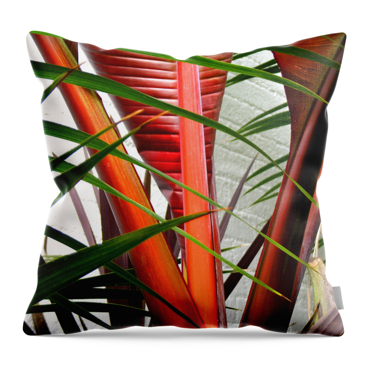Plants Throw Pillow featuring the photograph Tropical Palm Leaves by Duane McCullough