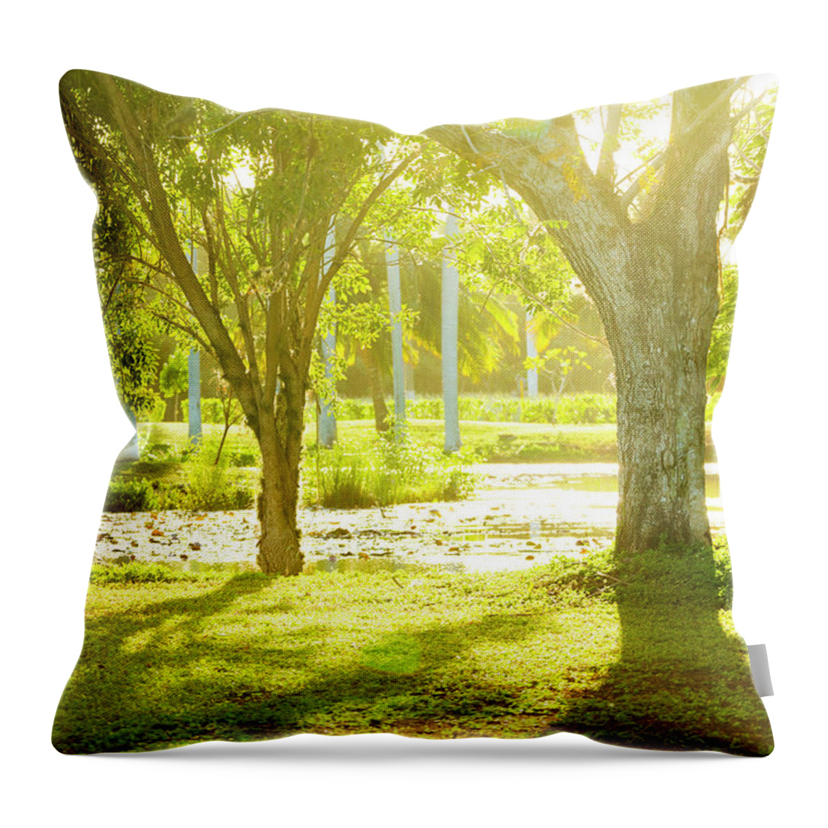 Tropical Rainforest Throw Pillow featuring the photograph Tropical Park In Cuba by Spooh
