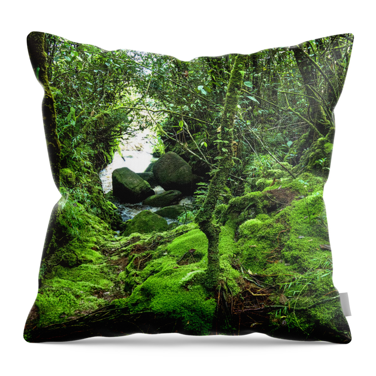 Tropical Rainforest Throw Pillow featuring the photograph Tropical Rain Forest At Auyantepuy by Apomares