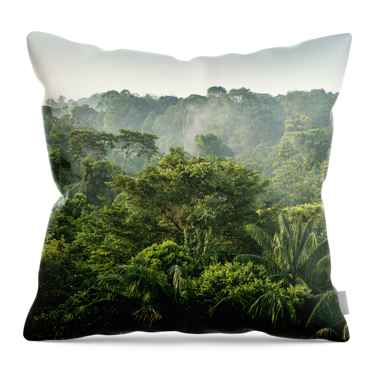 Scenics Throw Pillow featuring the photograph Tropical Rainforest by Chanachai Panichpattanakij