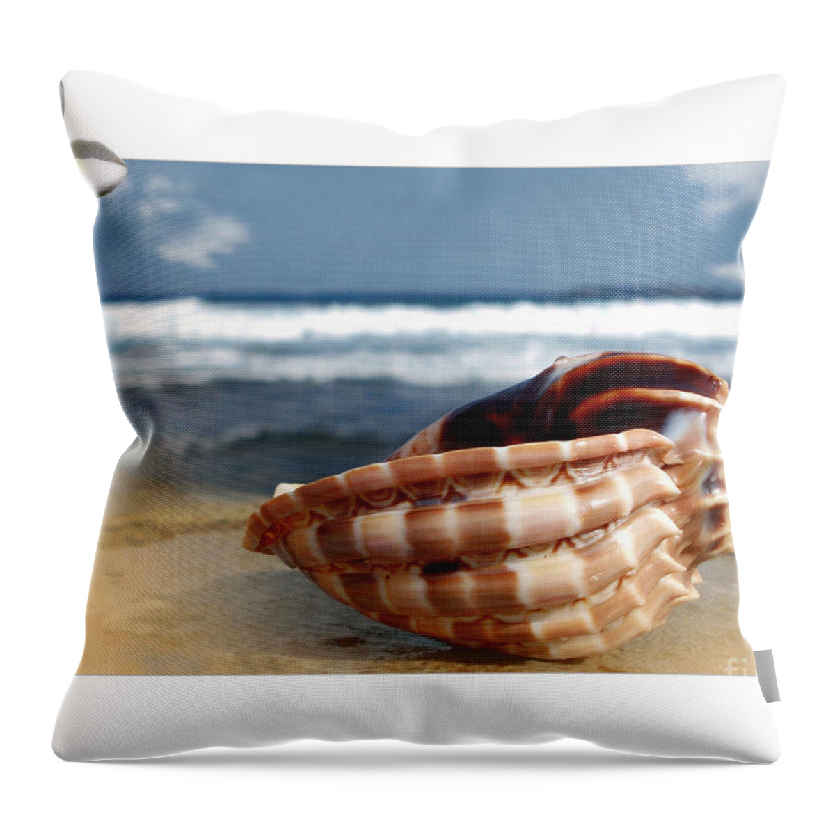 Photography Throw Pillow featuring the photograph Tropical Shell 2 by Kaye Menner