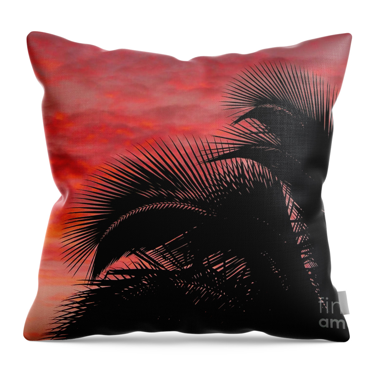 Tropical Throw Pillow featuring the photograph Tropical Silhouette by Ellen Cotton