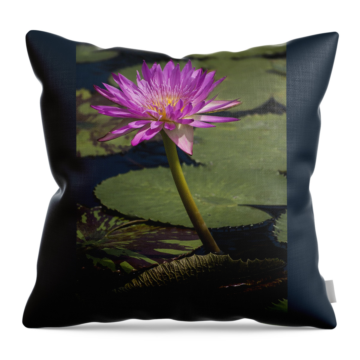 Background Throw Pillow featuring the photograph Tropical Water Lily by Penny Lisowski