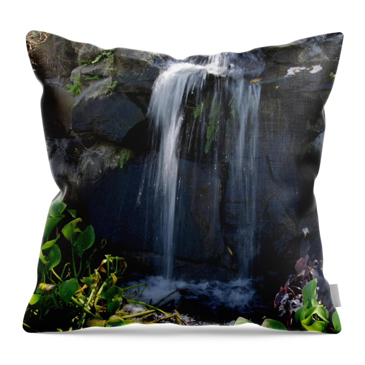 Waterfall Throw Pillow featuring the photograph Tropical Waterfall by Laurel Best