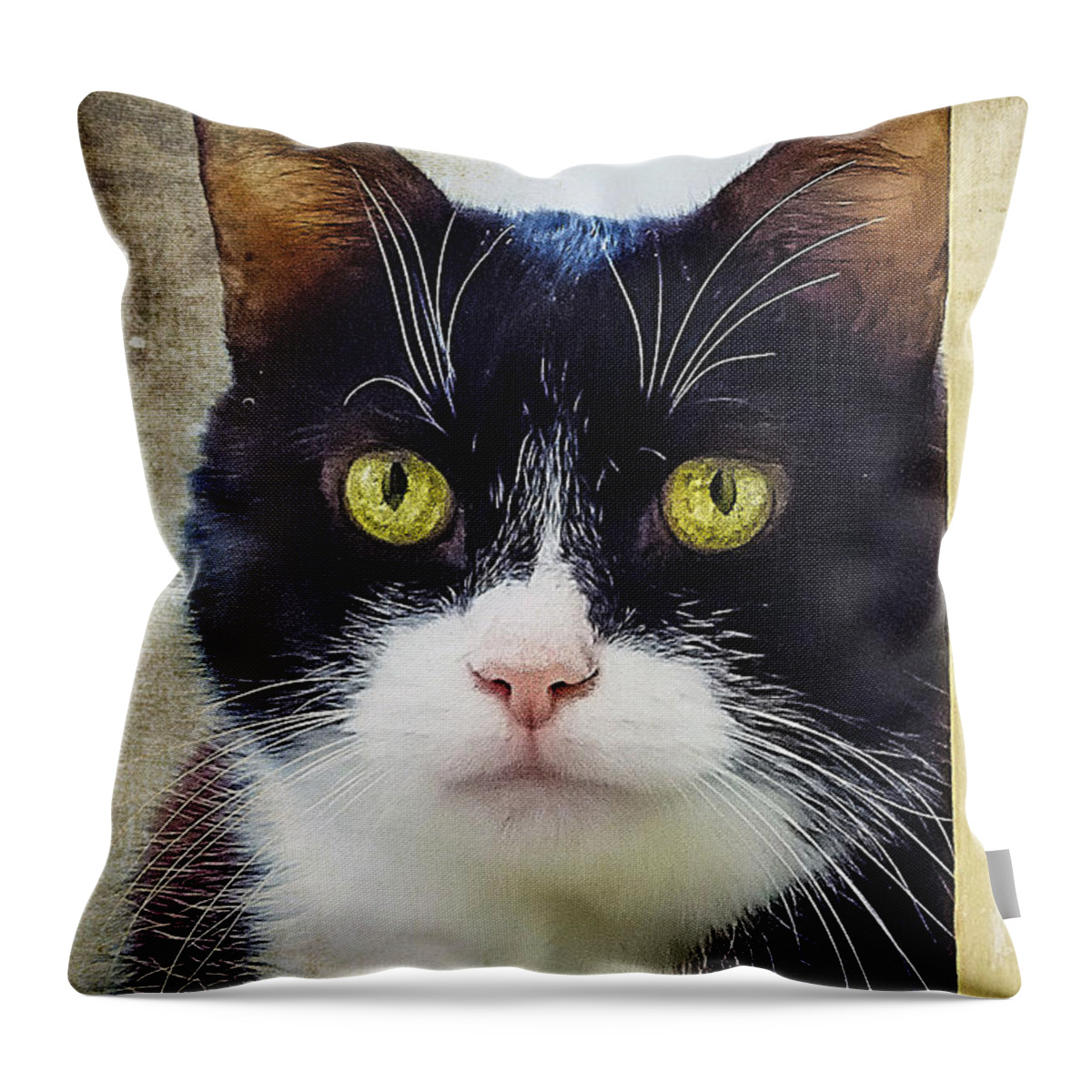 Florida Throw Pillow featuring the photograph Trouble behind that door by Sylvia J Zarco
