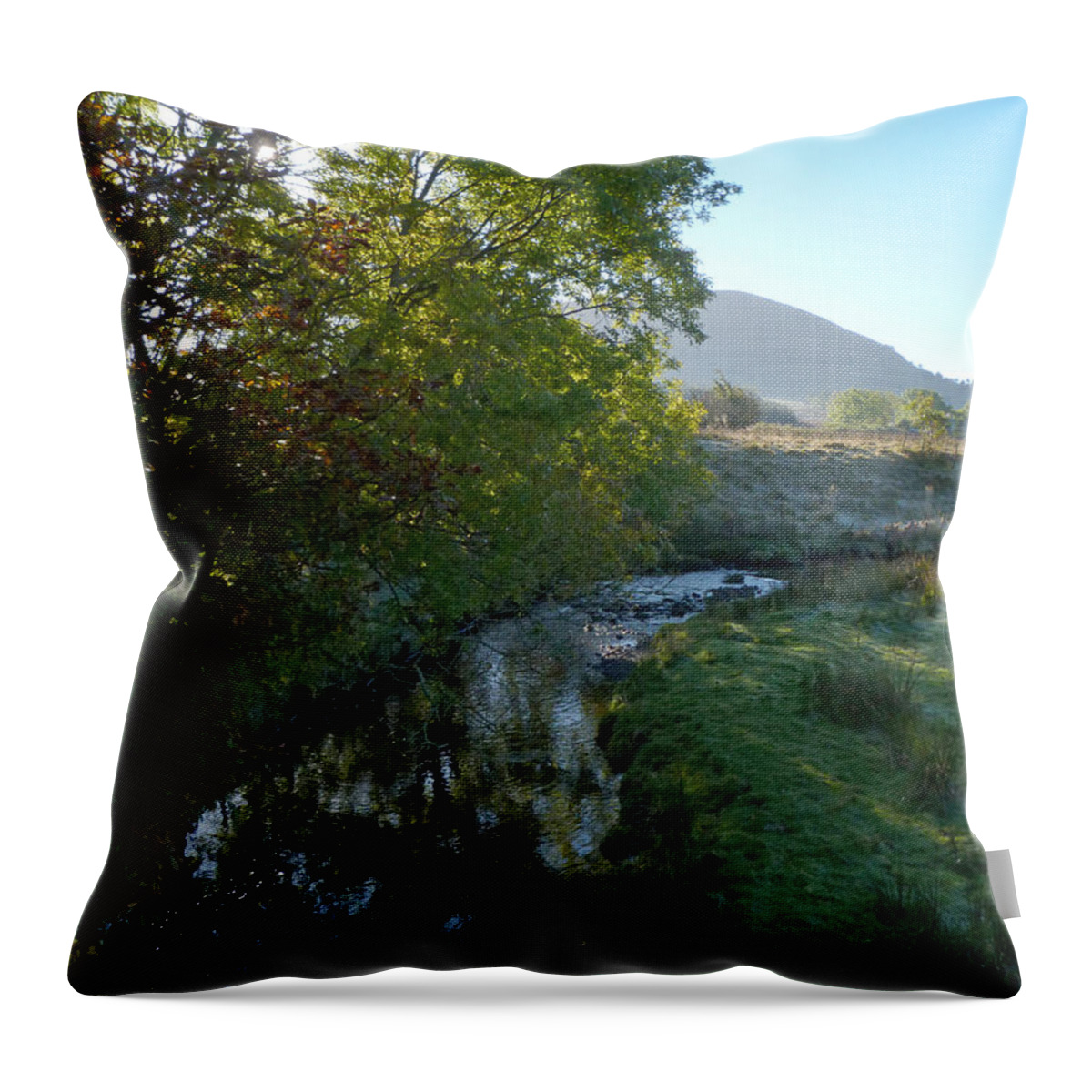 Troutbeck Throw Pillow featuring the photograph Troutbeck - Autumn Morning by Phil Banks