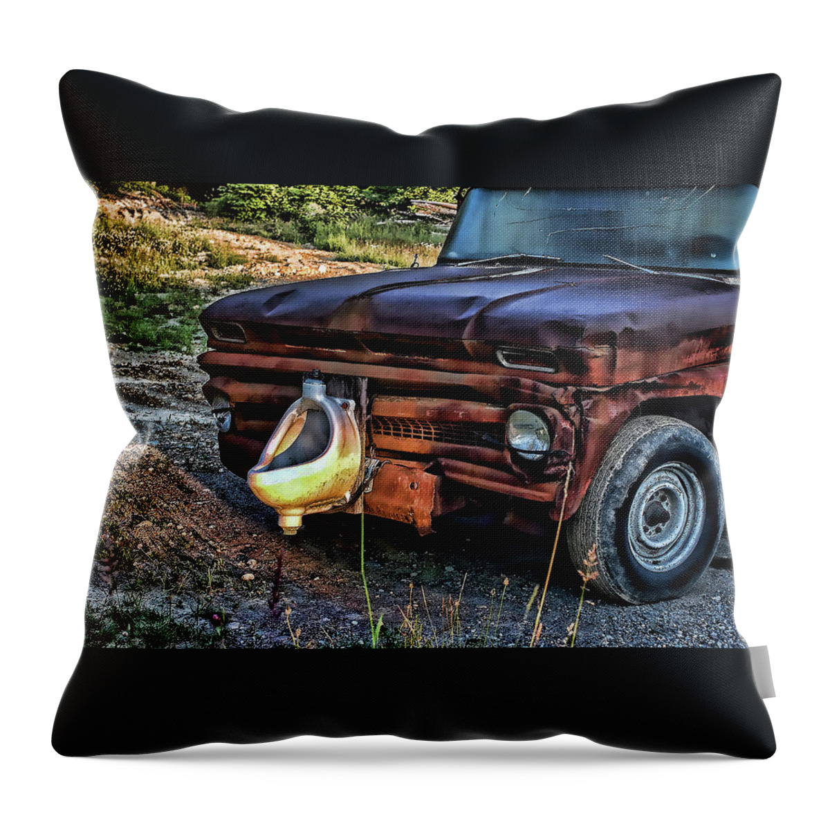 Ron Roberts Throw Pillow featuring the photograph Truck with benefits by Ron Roberts