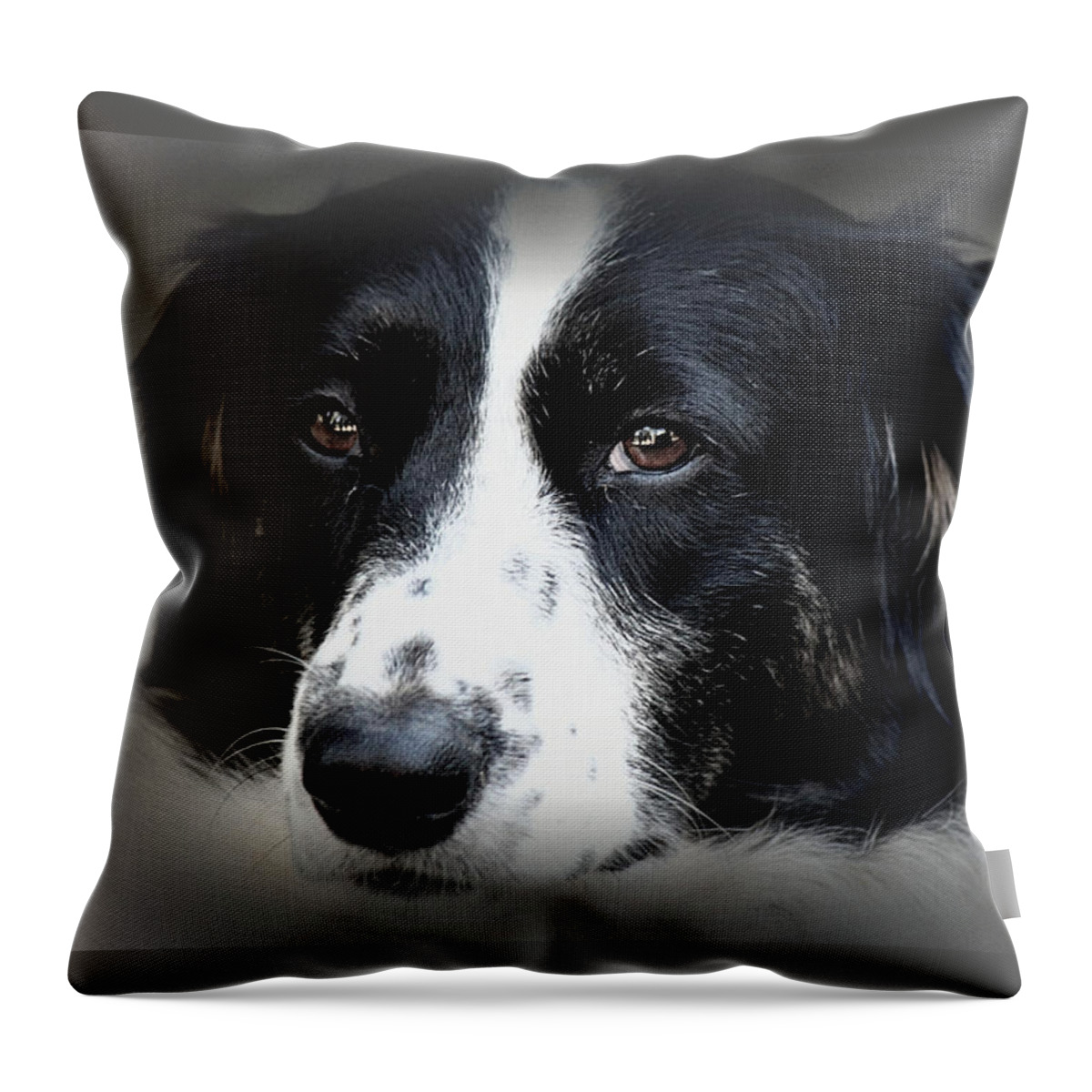 Dog Throw Pillow featuring the photograph True Companion by Melanie Lankford Photography