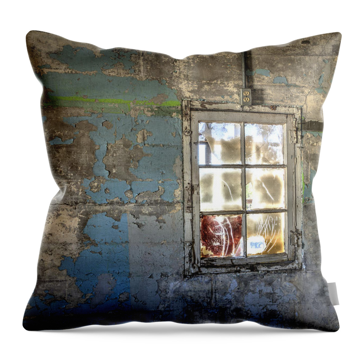 Doors Throw Pillow featuring the photograph Trustee-3 by Charles Hite