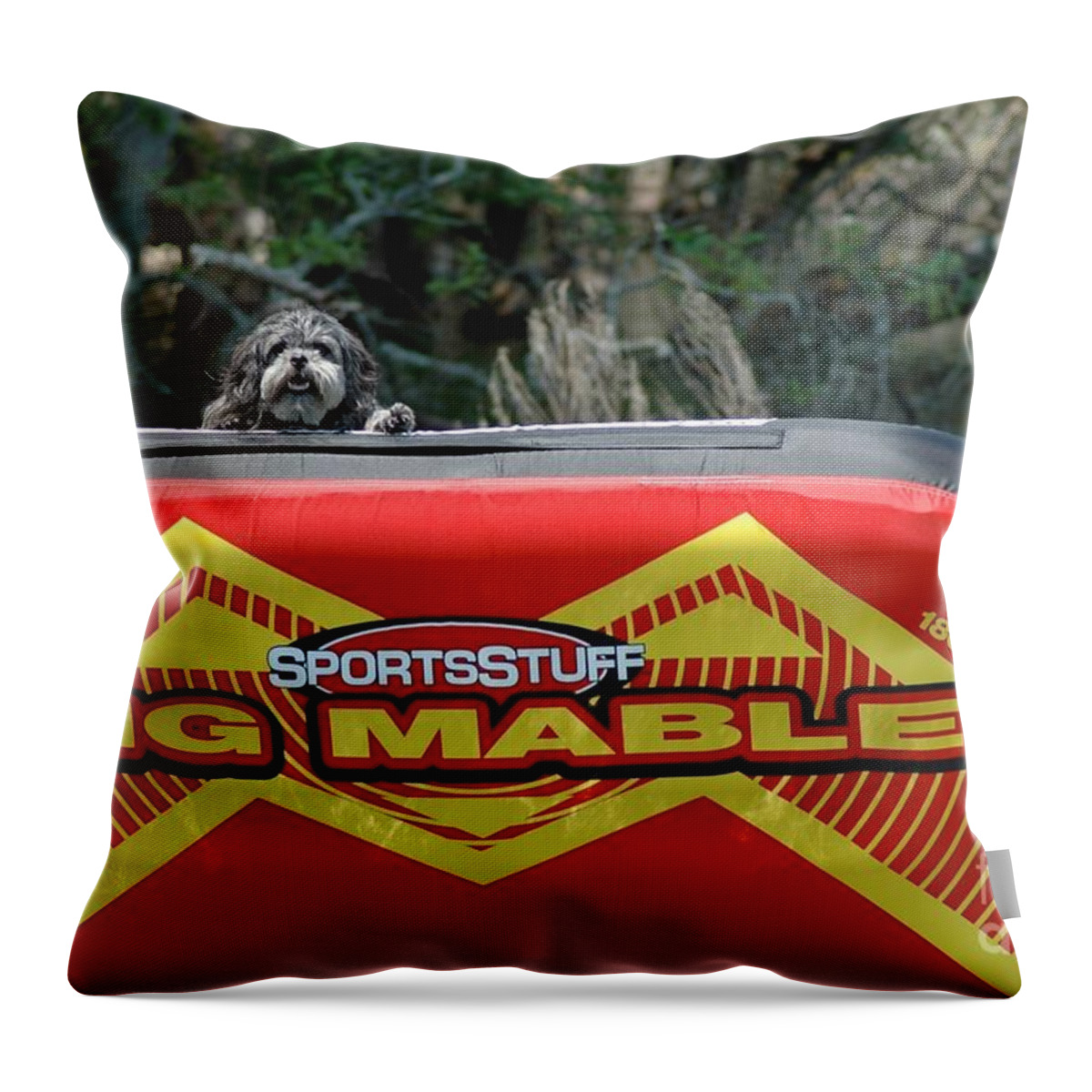 Lake Throw Pillow featuring the photograph Tubing Anyone??? by M West
