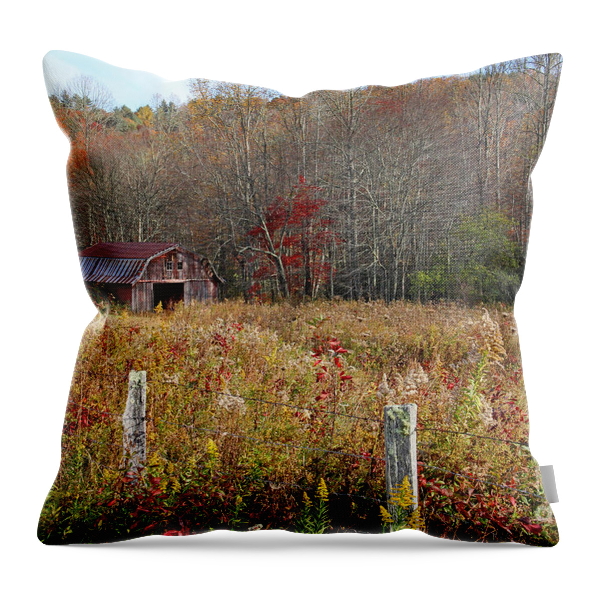Barn Throw Pillow featuring the photograph Tucked Away - Barns by HH Photography of Florida