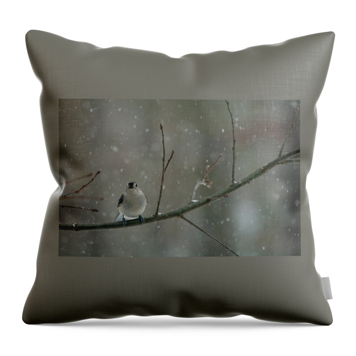 Titmouse Throw Pillow featuring the photograph Tufted Titmouse in the Snow by Kristia Adams