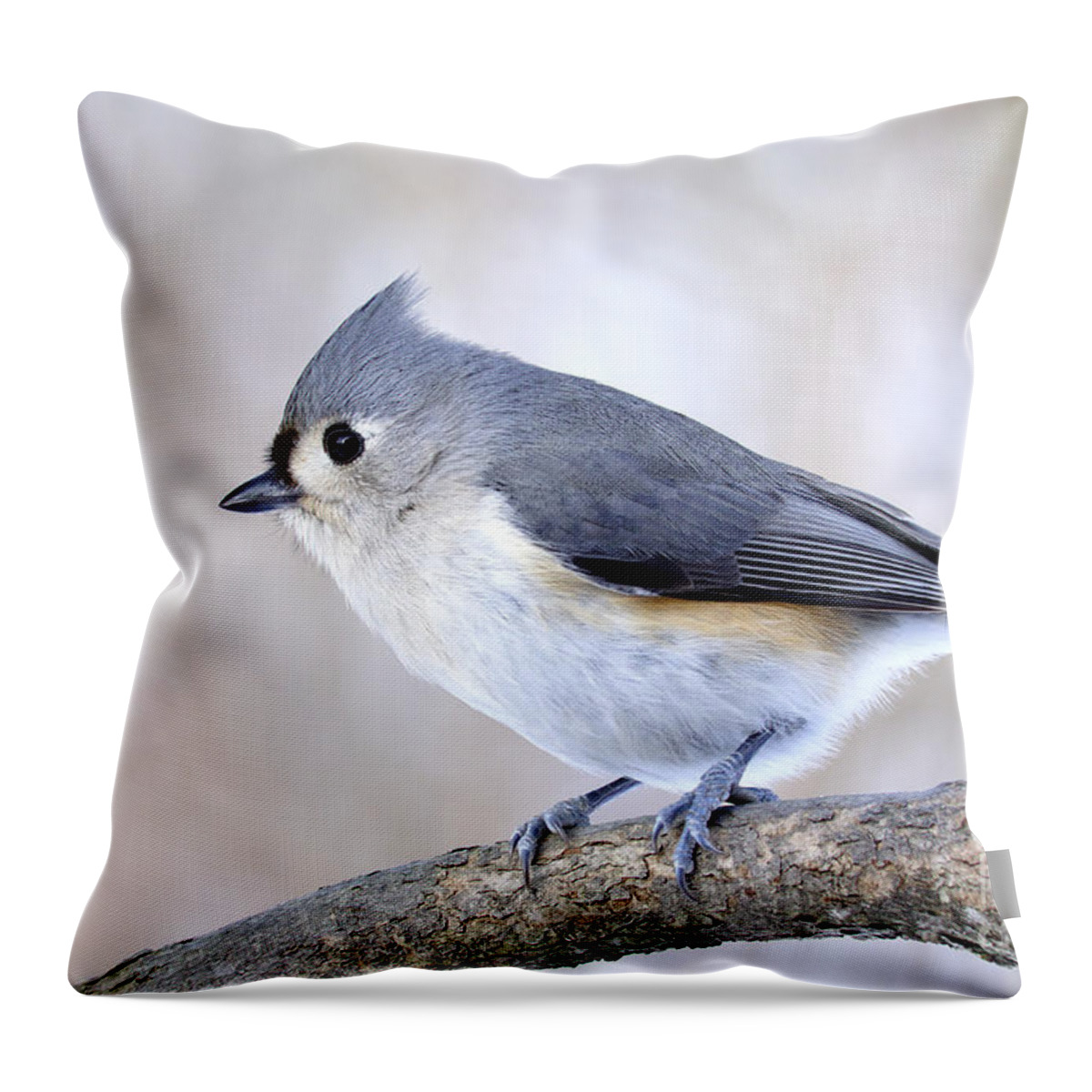 Tufted Titmouse Throw Pillow featuring the photograph Tufted Titmouse on Dogwood 3 by Thomas R Fletcher