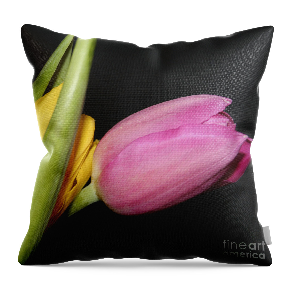 #tulip #nature Throw Pillow featuring the photograph Tulip 2 by Jacquelinemari