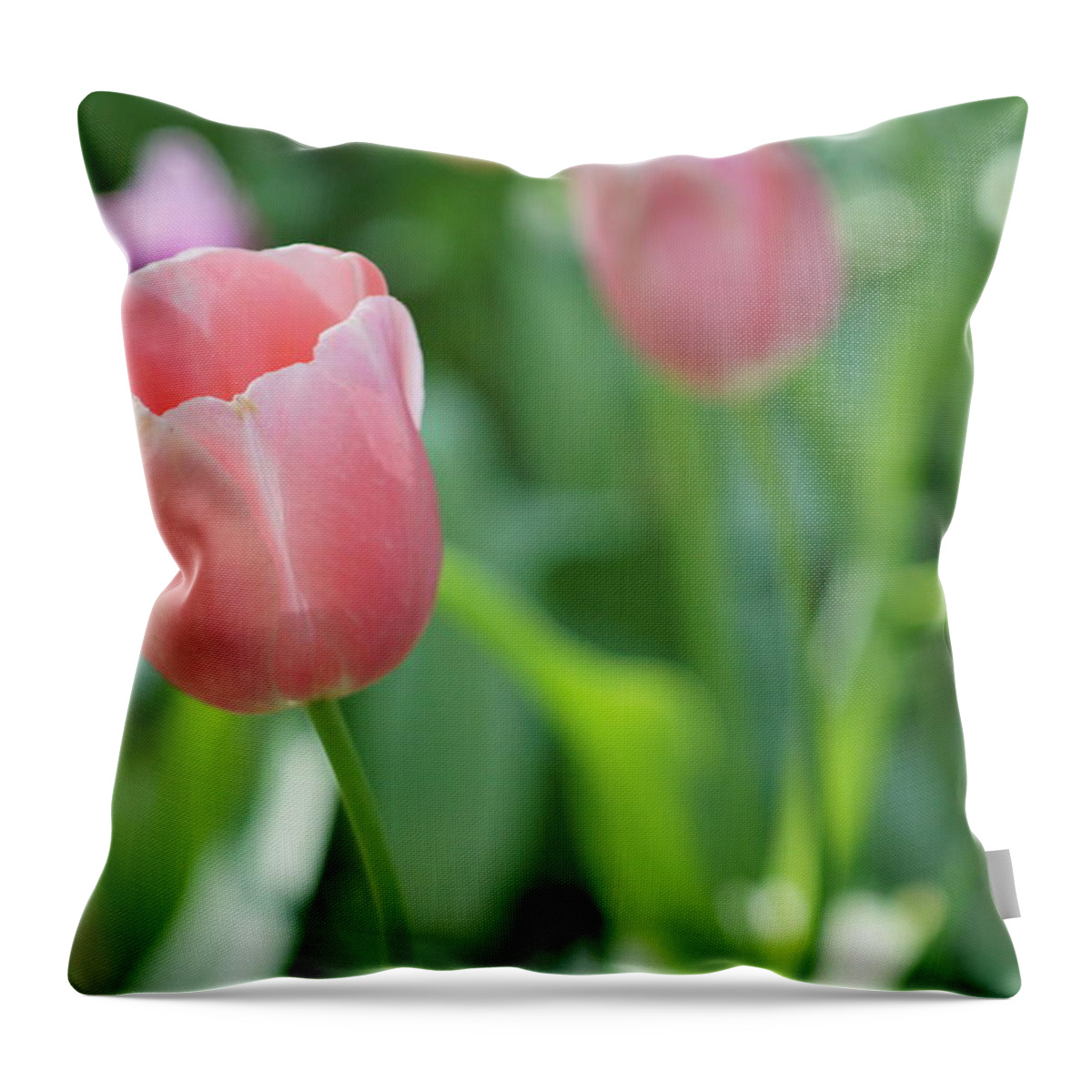 Flowers Throw Pillow featuring the photograph Tulip by Kathy Churchman