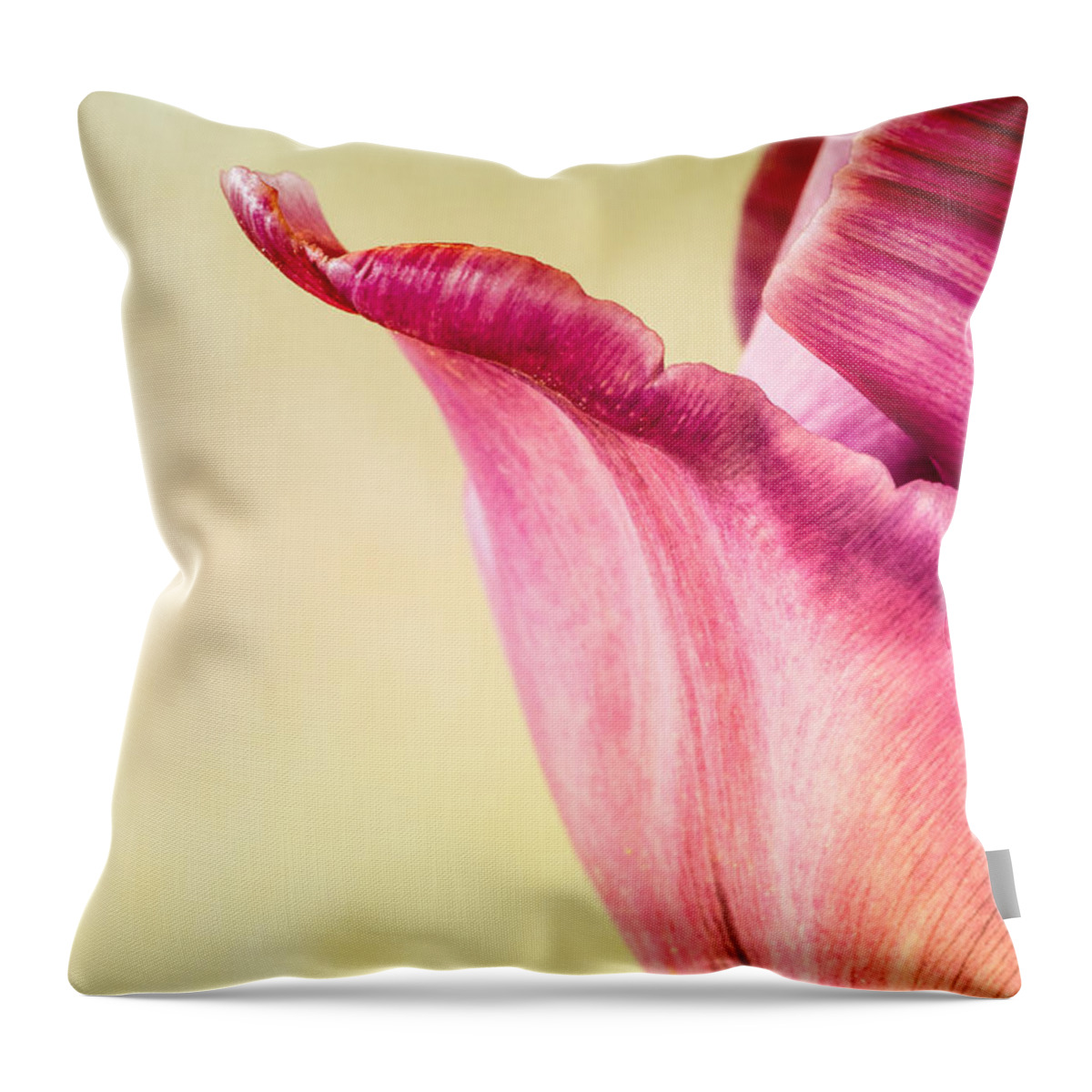 Tulips Throw Pillow featuring the photograph Tulip Petal by Georgette Grossman