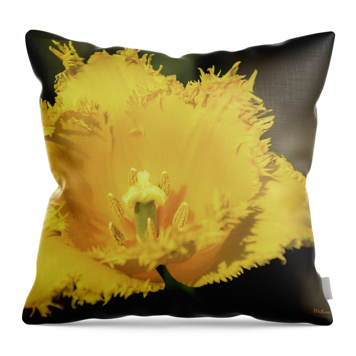 Usa Throw Pillow featuring the photograph Tulip Time with the fringe by LeeAnn McLaneGoetz McLaneGoetzStudioLLCcom