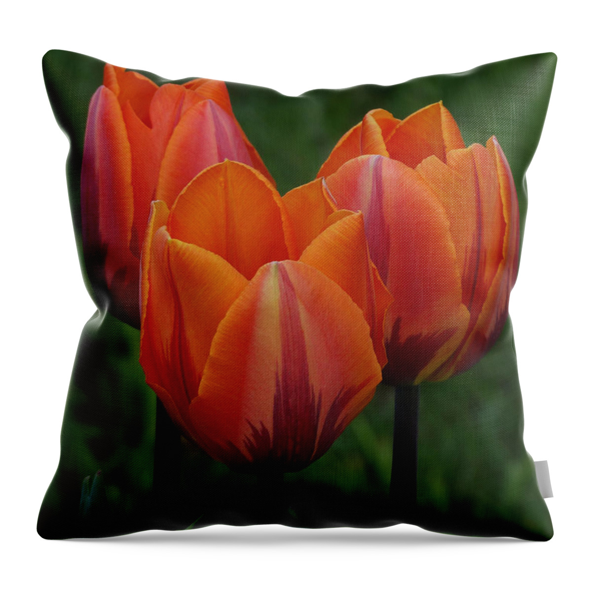 Tulips Throw Pillow featuring the photograph Tulip Trio by David T Wilkinson