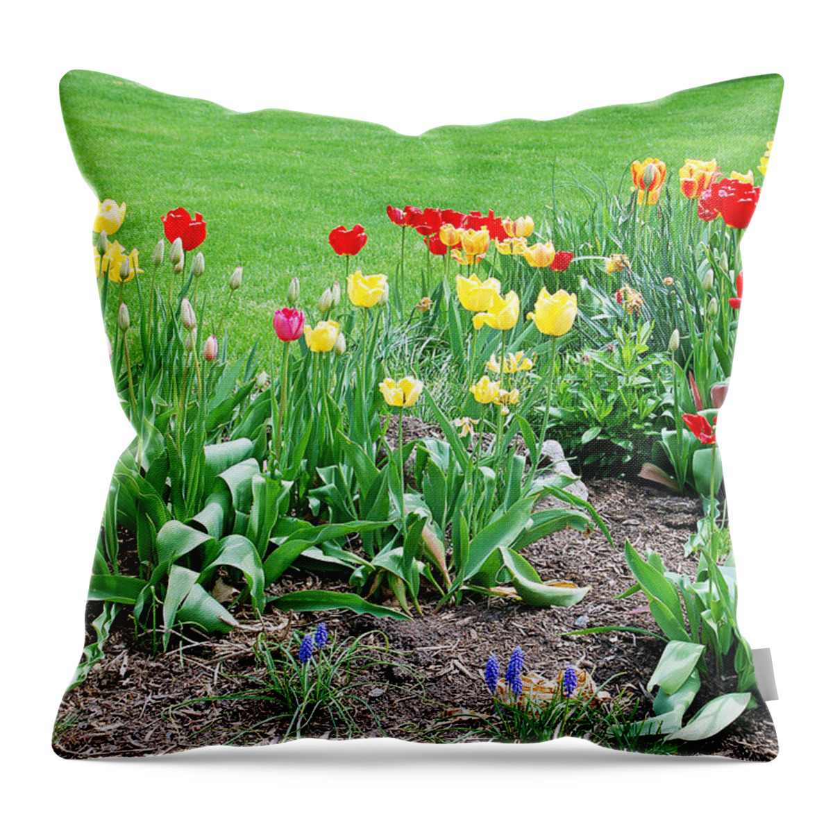Tulip Throw Pillow featuring the photograph Tulips by Aimee L Maher ALM GALLERY