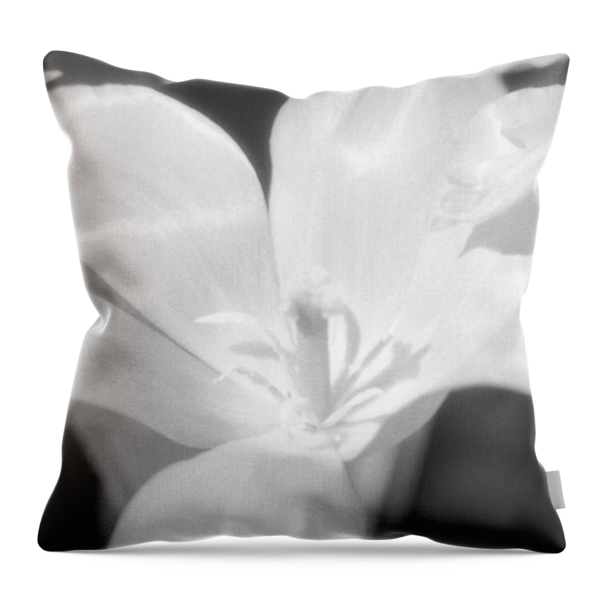 Tulip Throw Pillow featuring the photograph Tulips - Infrared 22 by Pamela Critchlow