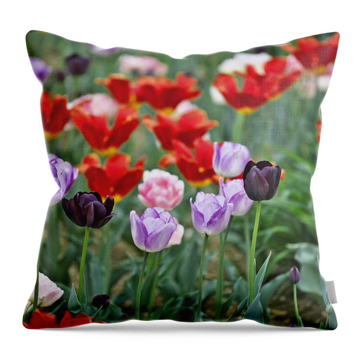 Garden Throw Pillow featuring the photograph Tulips by Ivan Slosar