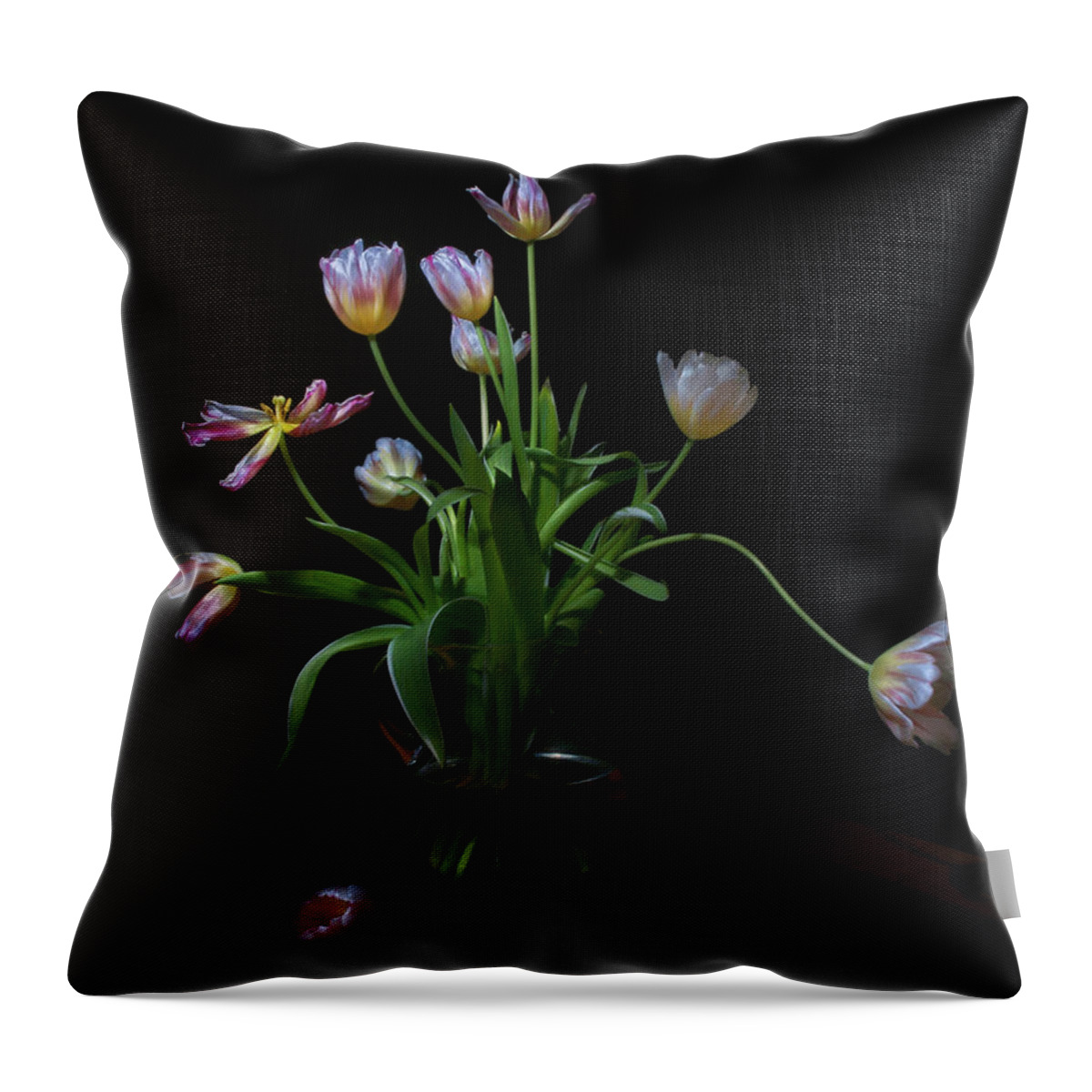 Vase Throw Pillow featuring the photograph Tulips by Karen Von Knobloch Photographerkaren