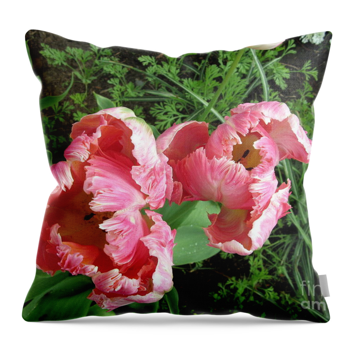  Throw Pillow featuring the photograph Tulips by Mars Besso