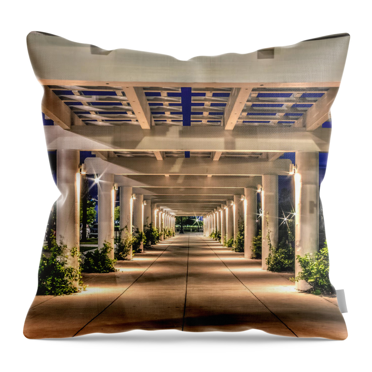 Valor Throw Pillow featuring the photograph Tunnel Vision by Traveler's Pics