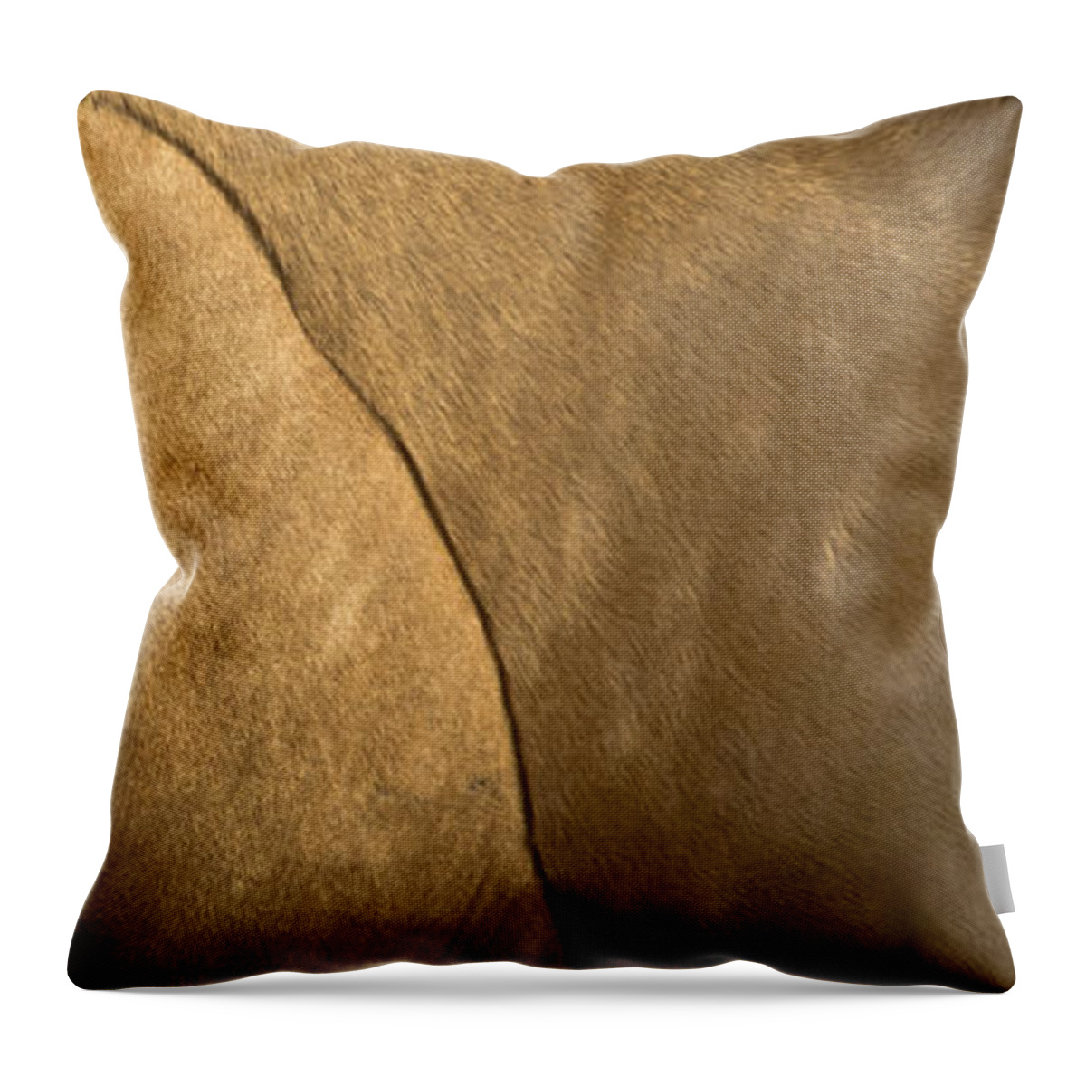 Andalusia Throw Pillow featuring the photograph Tupelo 2 by Catherine Sobredo