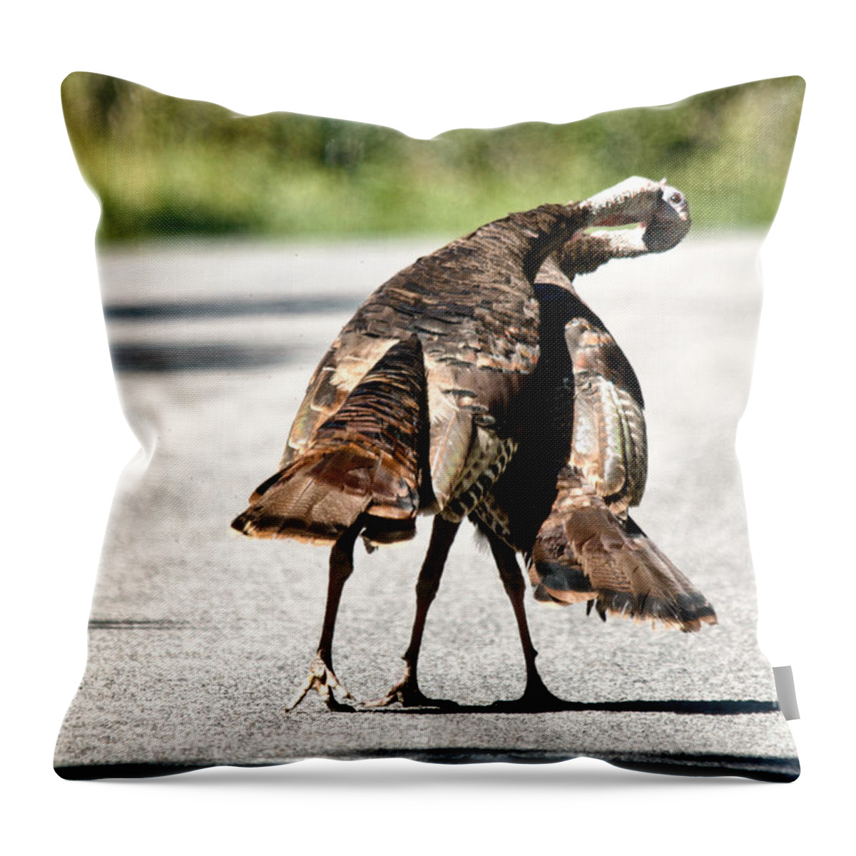 Turkey Throw Pillow featuring the photograph Turkey Fight by Cheryl Baxter