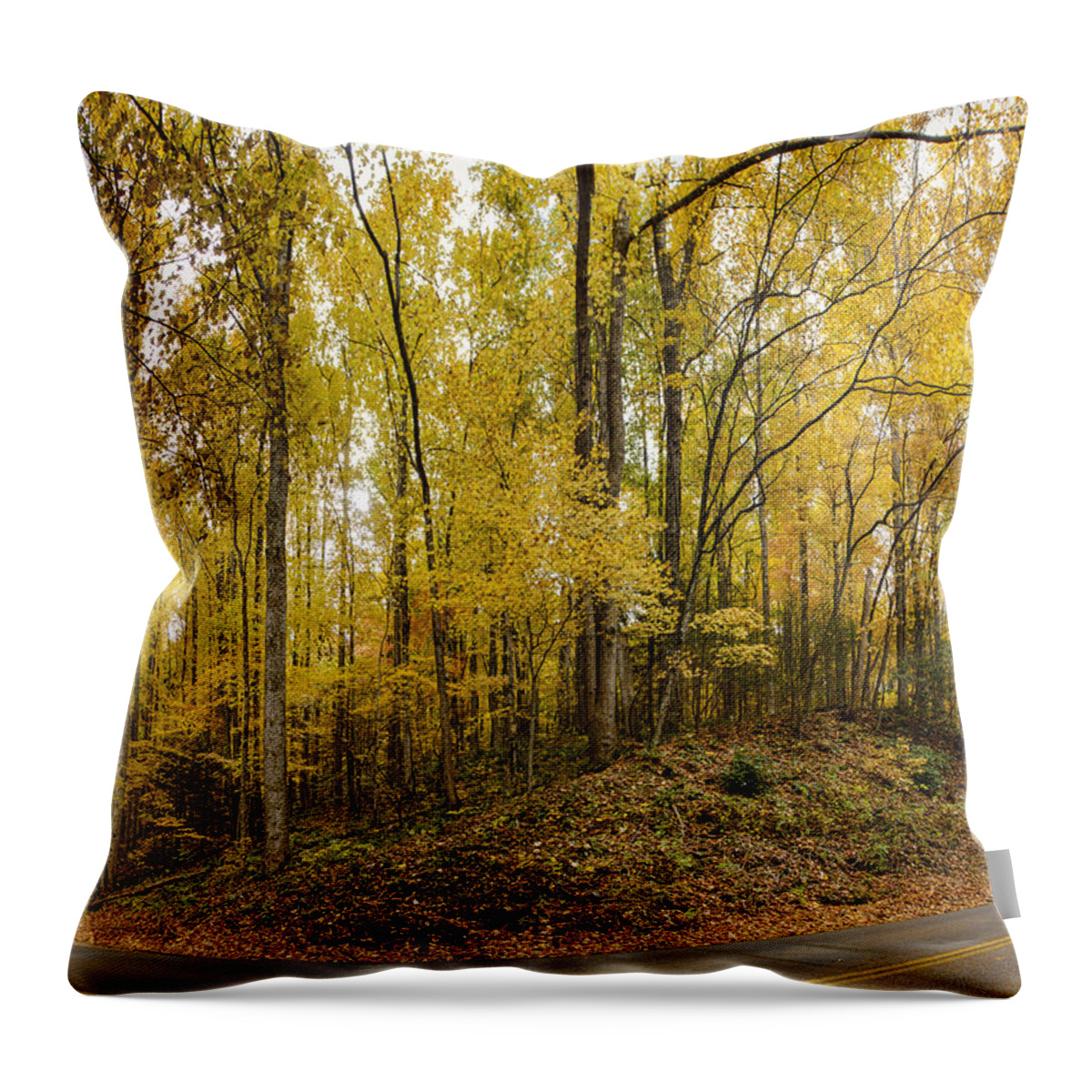 Autumn Throw Pillow featuring the photograph Turned the Brights On by Heather Applegate