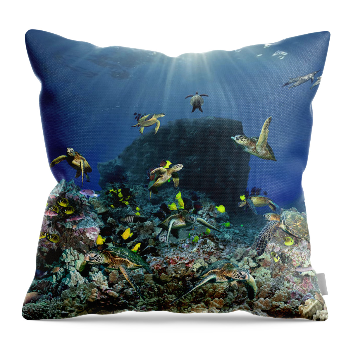 Marine Throw Pillow featuring the photograph Turtle pinnacle by Artesub