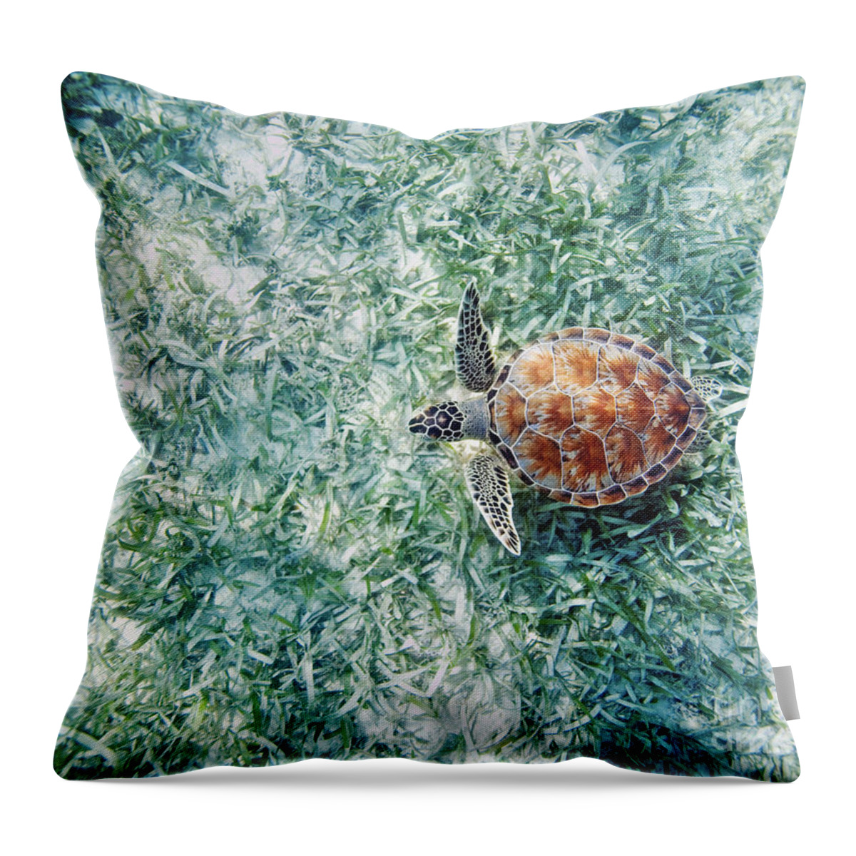 Animal Art Throw Pillow featuring the photograph Turtle Underwater Scene by M Swiet Productions