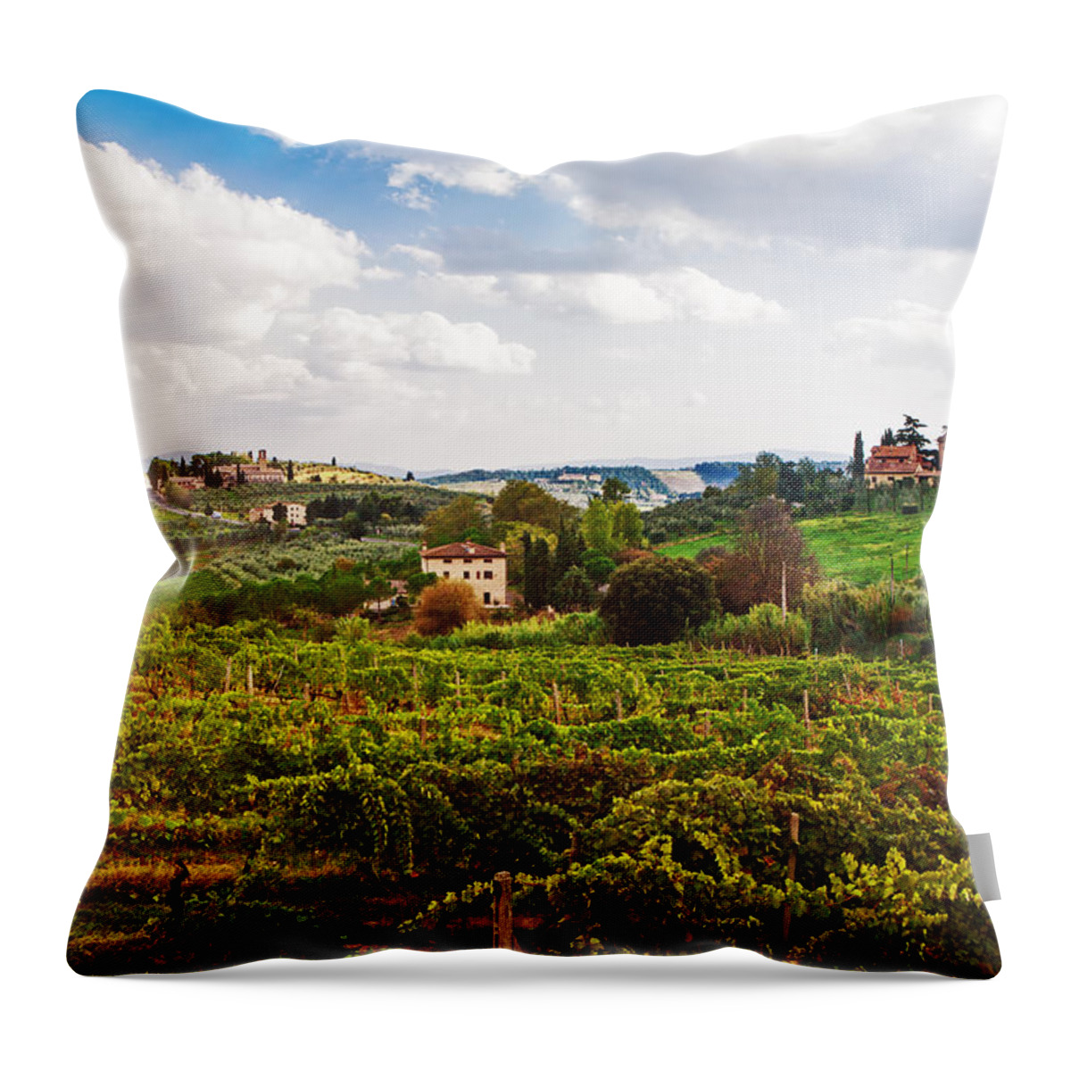 Tuscany Throw Pillow featuring the photograph Tuscany Italy Vineyard and Countryside by Good Focused