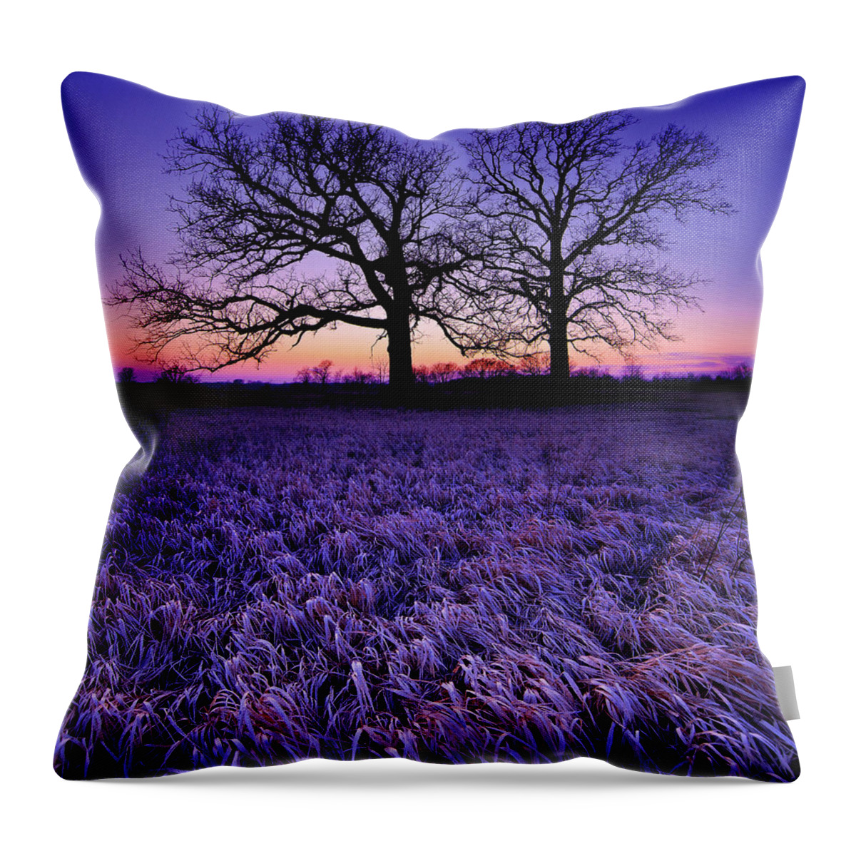 Tranquility Throw Pillow featuring the photograph Twilight Field by James Jordan Photography