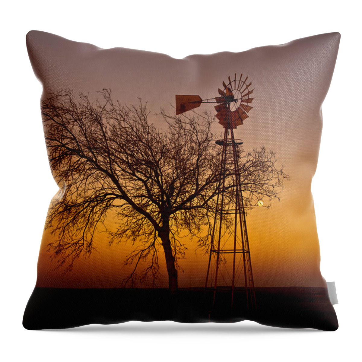 Landscape Throw Pillow featuring the photograph Twilight by Robert Frederick