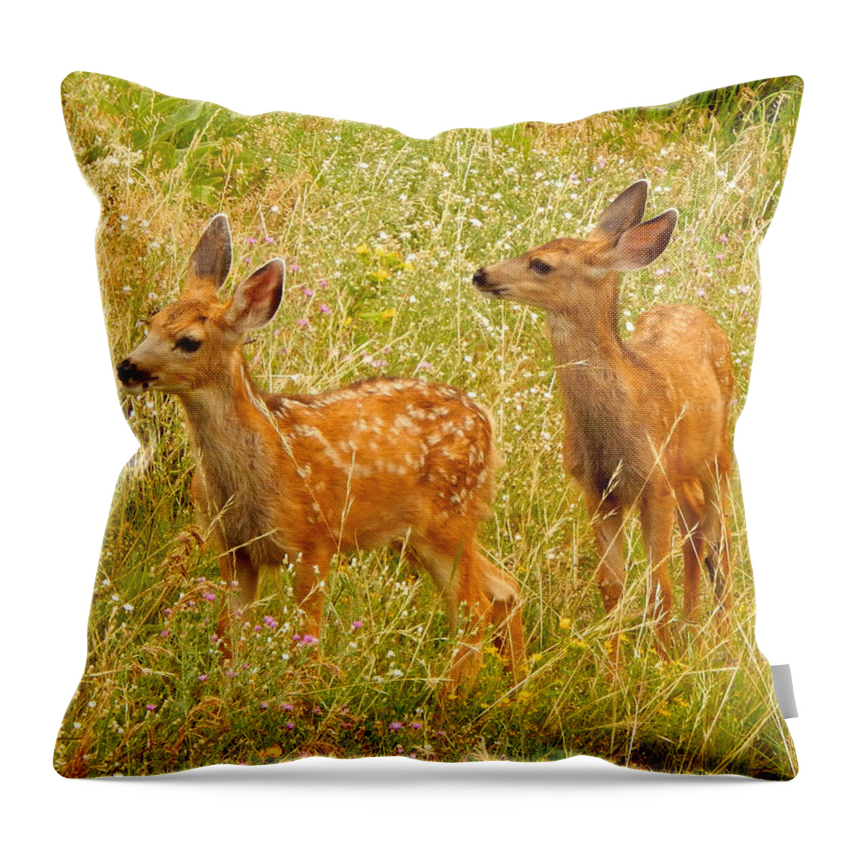 Photo Throw Pillow featuring the photograph Twin Fawns by Dan Miller