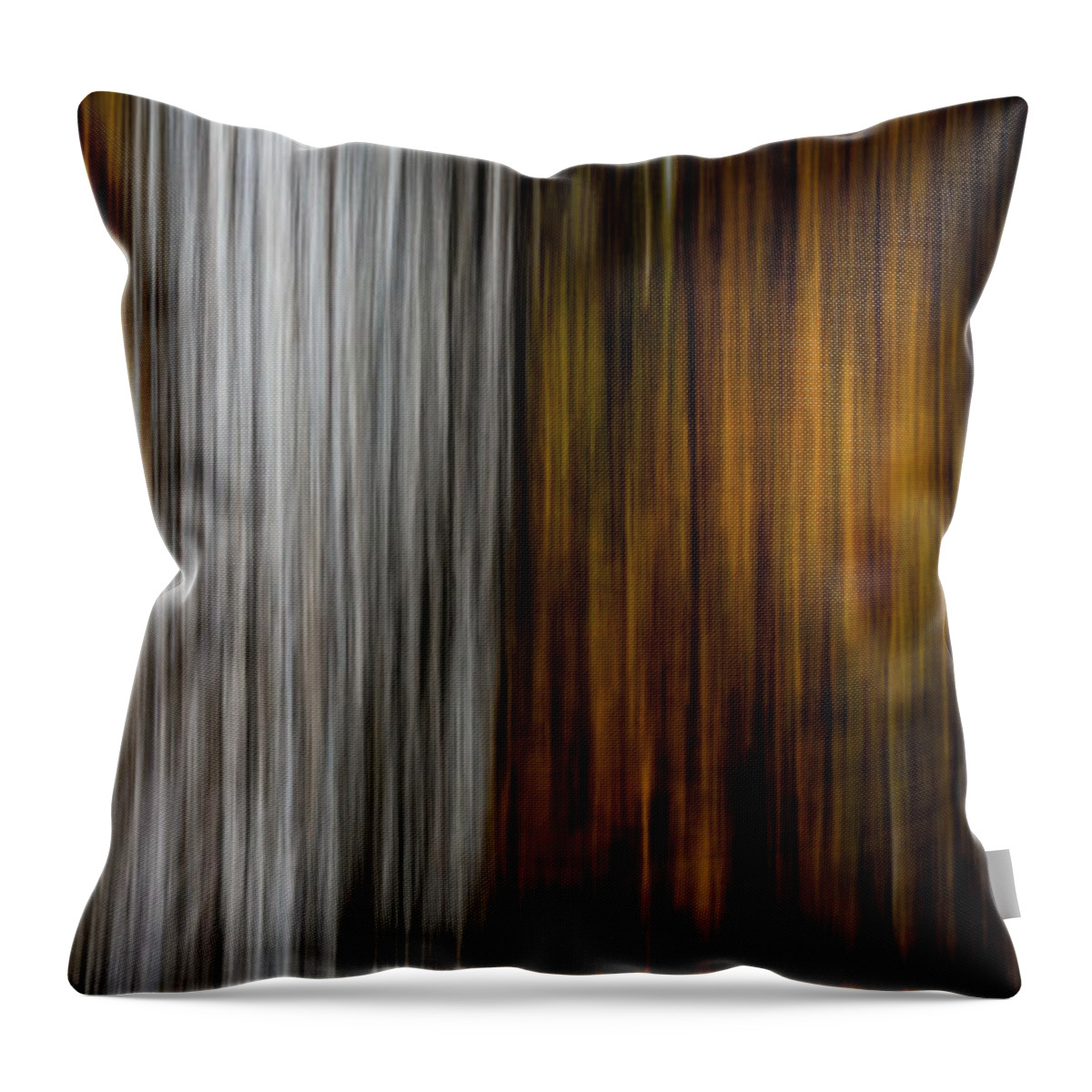 Abstracts Throw Pillow featuring the photograph Twin trunks by Darryl Dalton