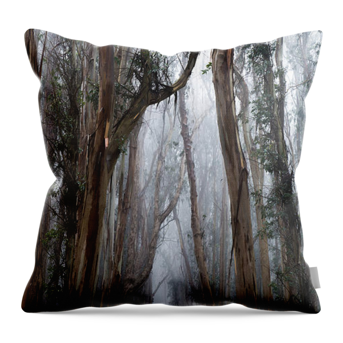 California Throw Pillow featuring the photograph Twisted Path by Dustin LeFevre