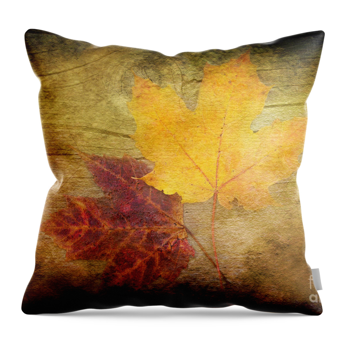 Autumn Leaves Throw Pillow featuring the photograph Two Autumn Leaves by Kathi Mirto