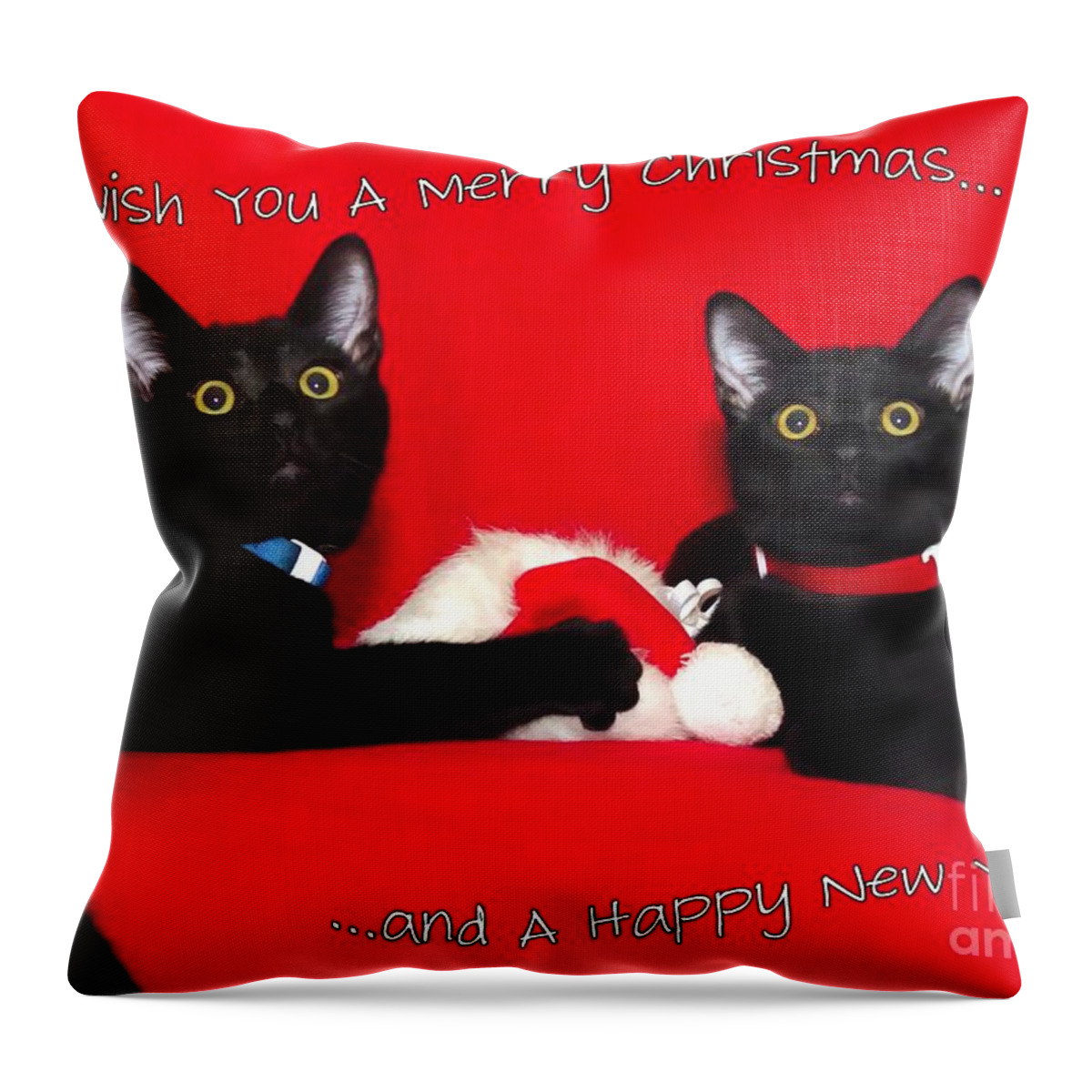 Black Throw Pillow featuring the photograph two black cats Christmas by Peggy Hughes